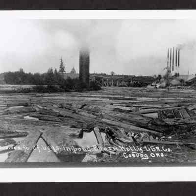 Photograph of Booth-Kelly log pond, Coburg, Oregon
