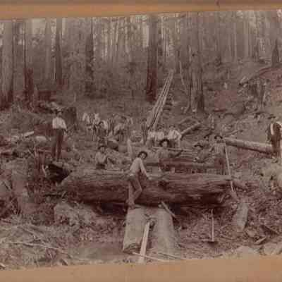 Photograph of loggers at work on log-skid, circa1890-1910