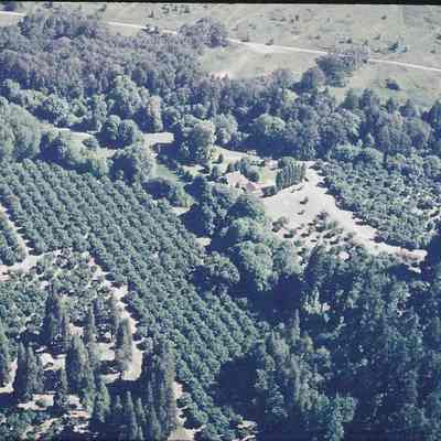 Photograph of Dorris Ranch, Springfield, Oregon