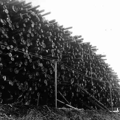 Photograph of a Log Stack, Date Unknown