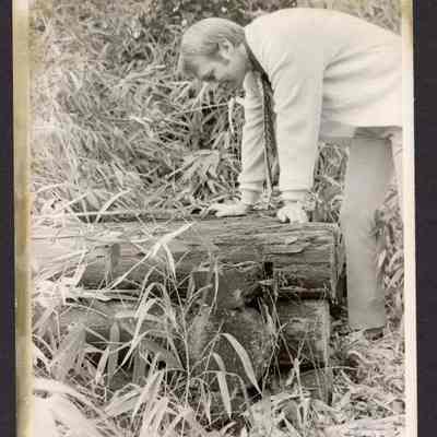 Photograph of Phil Kushlan looking into a spring, Springfield, Oregon, Undated