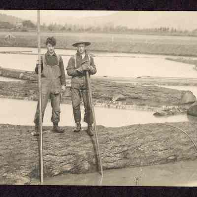 Photograph on postcard of two unidentified men on a log in Boutin Mill Pond, Springfield, Oregon
