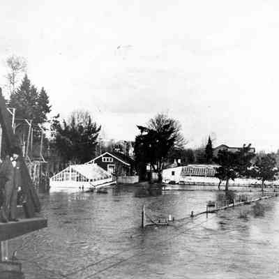 Photograph of Kingwell Greenhouses, West Springfield, Oregon, early 1920s