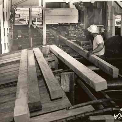 Photograph of Unknown worker in Lumber Mill, Undated