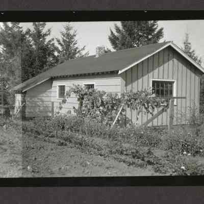 Photograph of House, back yard with grapes, Date unknown