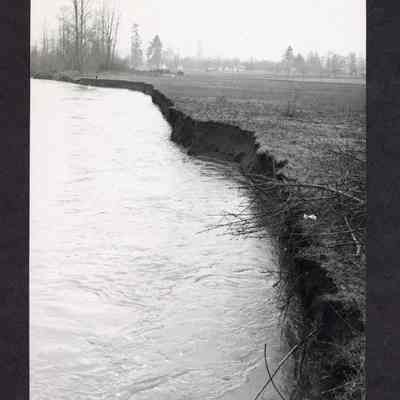 Photograph of River Bank, Undated