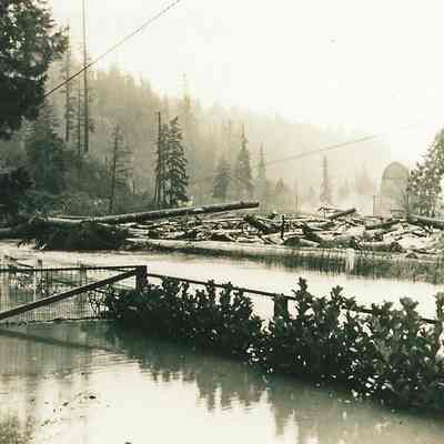 Photograph of Hines Lumber Company Log Pond, undated