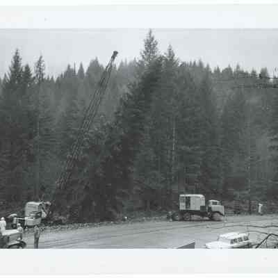 Photograph of the 1960's National Christmas Tree, Oregon's Presentation
