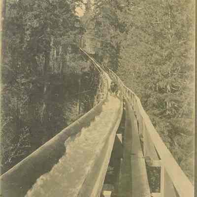 Photograph of Booth-Kelly Lumber Company flume, Prune Hill, Oregon, 1899