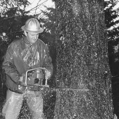 Photograph of a unidentified logger in rain jacket