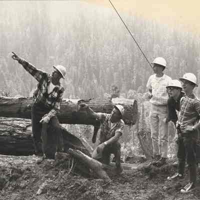 Photograph of Men at Logging Operation, Date Unknown