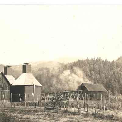 Photograph of hop drying kilns, Springfield, Oregon