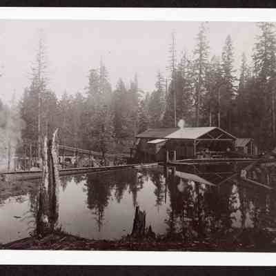 Photograph of log pond, flume, and mill at S.P. Mill, Lane County, Oregon
