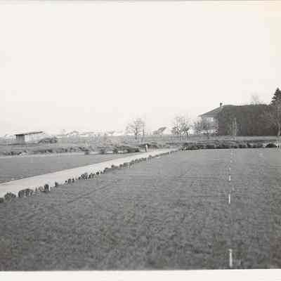 Photograph of Springfield High New Football Field, Springfield, Oregon, unknown date