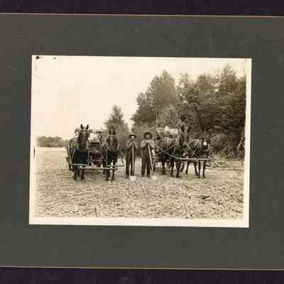 Photograph of Street Workers with Horses, Wagons, circa 1911