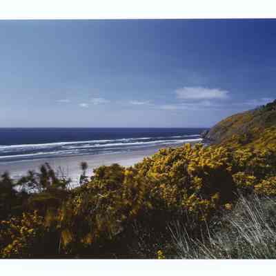 Landscape photograph of the Oregon Coast