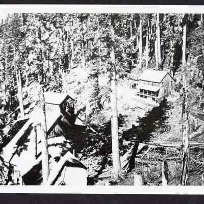 Photograph of unknown mill surrounded by trees