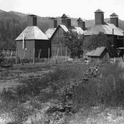 Photograph of hop drying barns, Seavey Hoy Yard, Oregon, 1914