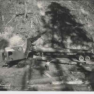 Photograph of crane loading logs, date unknown