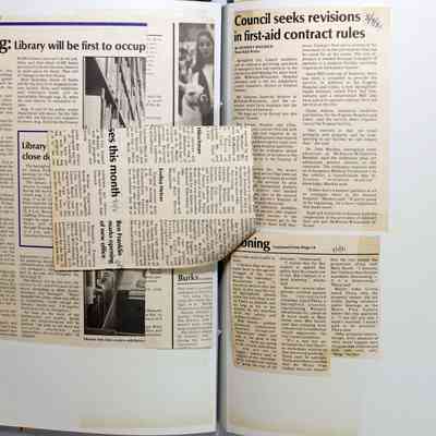 Page 81 (Article uncovered)
