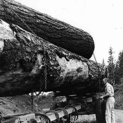 Photograph of Man Checking Chains