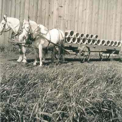 Photograph of Horse and Wagon pulling drainage pipes, undated