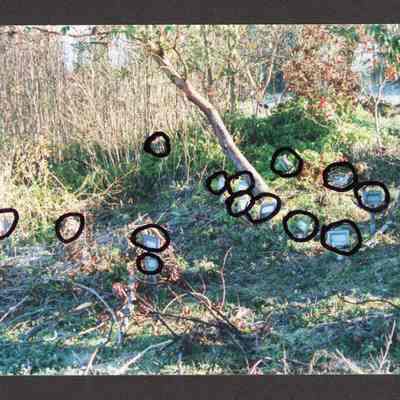 Photograph of Circled Grave Markers in Glenwood Cemetery, 1980-1999