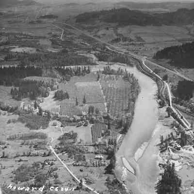 Aerial view of Dorris filbert orchard
