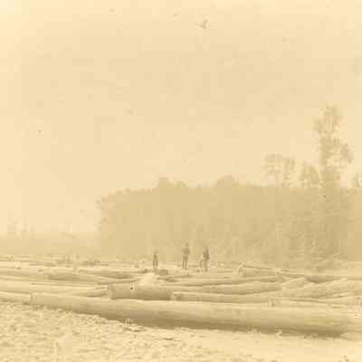 Photograph of Fall Creek Drive #14, Fall Creek, Oregon,1903