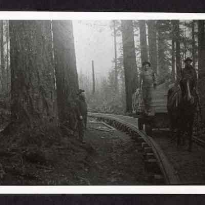 Photograph of three men with a horse-drawn cart with a load of lumber
