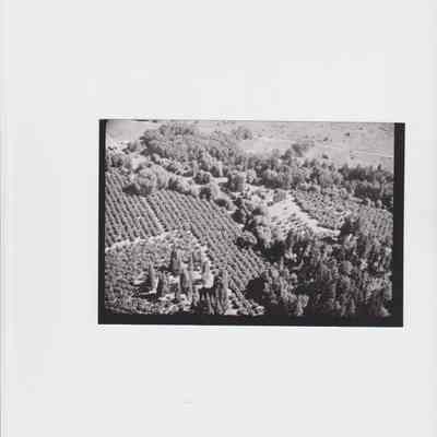 Aerial Photograph of Dorris Ranch, Undated