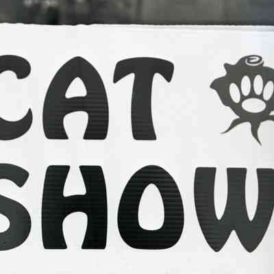 Cat Show