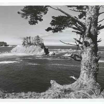 Photograph of Cape Arago Lighthouse near Coos Bay, Oregon, 1948