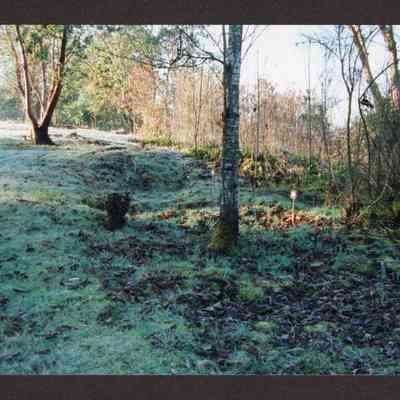 Photograph of Glenwood Cemetery Grave Markers, 1980-1999