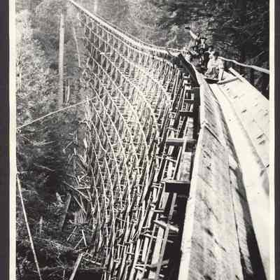 Photograph of People on Log Flume, Undated