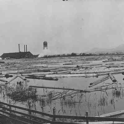 Photograph of Booth-Kelly Mill Pond, Circa 1907-8