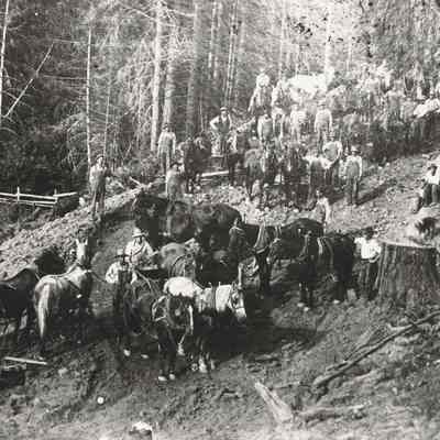 Photograph of Logging Crew with Horses