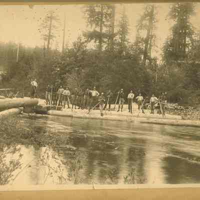 Photograph of loggers with Peaveys on Fall Creek, Oregon