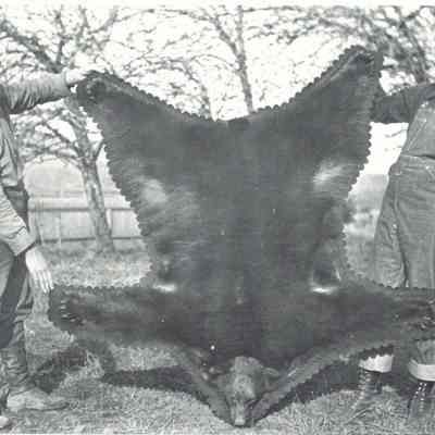 Photograph if Jack and C.I. Gorrie displaying a hunting trophy, circa 1915