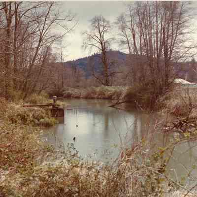 Photograph of Millrace Agricultural Area, Springfield, Oregon, 1982