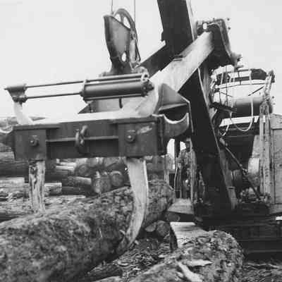 Photograph of Crane Lifting a Log