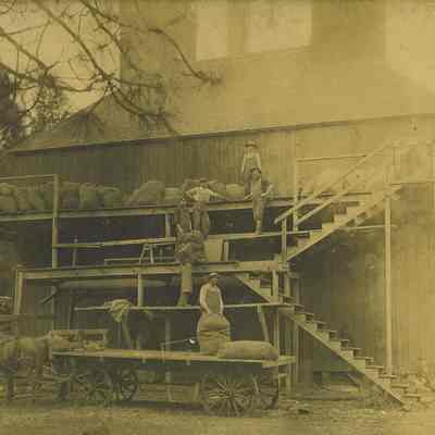 Photograph, Men Working at Anderson's Hop House, Walterville, OR, circa 1921-1922