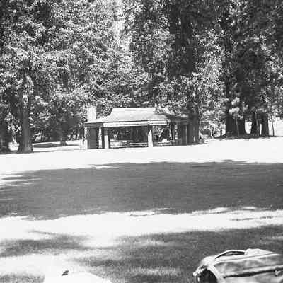 Photograph of Picnic Area at Island Park, Springfield, OR, date unknown