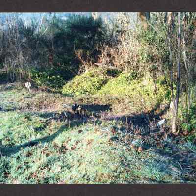 Photograph of Glenwood Cemetery Grave Markers, 1980-1999
