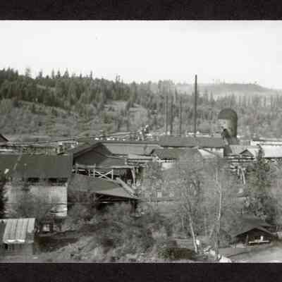 Photograph of Oklahoma Heights housing at Booth-Kelly mill at Wendling, Oregon
