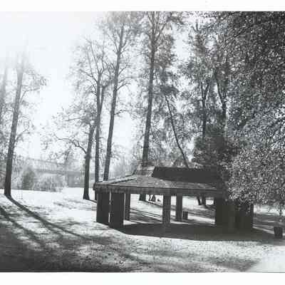 Photograph of Island Park in Springfield, undated
