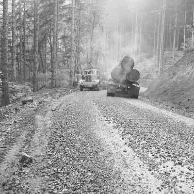 Photograph of Two Logging Trucks