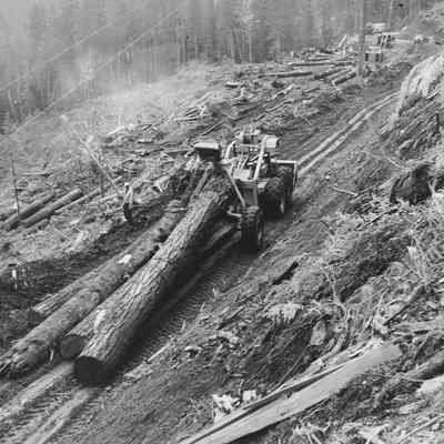 Photograph of Rubber Tired Skidder