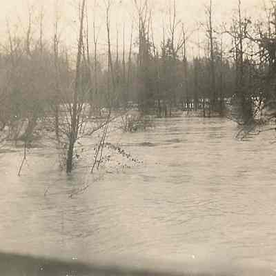 Photograph of a flooded back yard, Springfield, Oregon, 1943