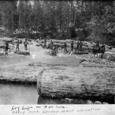 Photograph of the George Veatch logging operation at Fall Creek, Oregon, early 1900's
